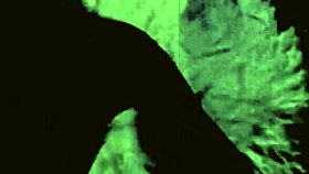 Taboo Family Secrets of a Sexy Step Mom Unveiled