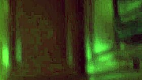 My boyfriend's stepsisters crave lesbian sex!