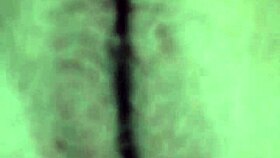 The Young Girl's Pussy Opens Wide for the First Time in the Bedroom Scene.