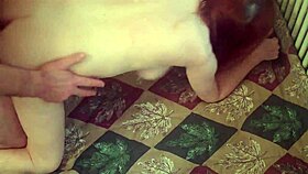 Redhot redhead show 1-8-2017