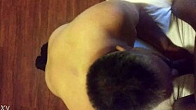 sucking black shemale