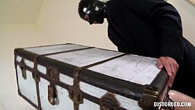 Lady in footlocker, you're making that cock disappear!