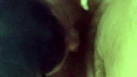 i let the amateur slut suck my cockk