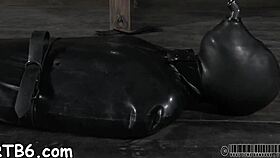 Hotty receives a neck collar and legs widen wide open