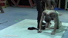 mikeal explores his skinny new sub boy chad in african bondage domination