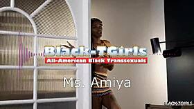Black Tgirls Ms Amiyas Here To Please