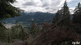 Bicicletă și sex cu Liz și Ted