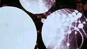 Vintage eroottiset piirrokset sytyttävät retro halun