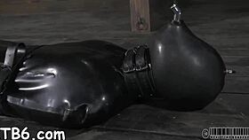 Hotty receives a neck collar and legs widen wide open