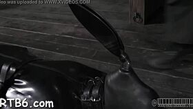 Hotty receives a neck collar and legs widen wide open