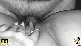 trailer - my pet taking