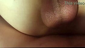 young blokes chase maximum anal pleasure fucking chubby fat asses