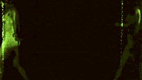 Vintage Porn Challenge: 1870s vs 1970s - Which Era Wins?