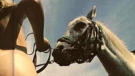 Wow, beauty and the beast in retro vintage pussy action with hairy beaver!