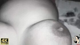 trailer - my pet taking