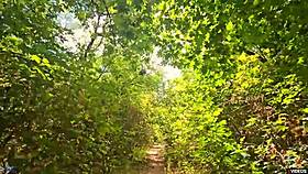 pleeeeease keep cumming inside me in public