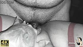 trailer - my pet taking