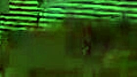 Wow, Complete Sunville Gameplay Part Ten!