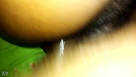 straight blowjob with girlfriend and friend