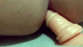 the youtuber prankster called me on video and ended up touching my latina pussy while streaming on webcam