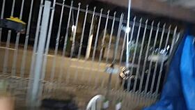 Intense blowjob on podcast host live with small cock