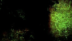 check out this vintage erotic illustration with a retro vibe. it’s a classic piece of sensual art from another era.