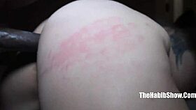 Amanda Panda Says, 'Drill My Big Booty with That BBC!'