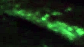 Ebony amateur with big ass and wet pussy in homemade Tuesday jumpoff.