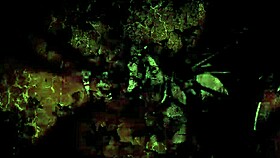 an old book revealed vintage drawings with retro cartoon elements and antique charm