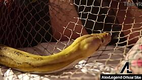 Role Playing Time Minotaur Alex Legend Bangs Da Viking Nicole Aniston