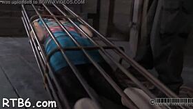 What Makes This Hardcore Scene So Intense?