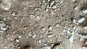 Cumshots and squirting in this homemade compilation are just insane, check it out! 😍