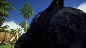 Pov Two Gay Wolves Fucking Wildly In Forest