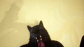 Pov Two Gay Wolves Fucking Wildly In Forest