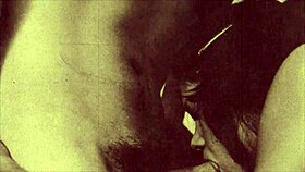 my secret life vintage taboo series