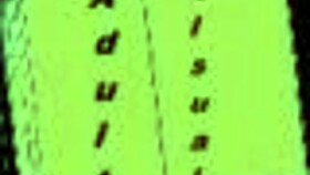 Alternate Existence 67 Game Adventure