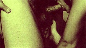 my secret life vintage taboo series