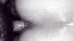 my vintage fuck collection vid 3 shows raw cumshots on various bodies