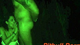 Na calada da noite o pau cantou e ninguem viu 100 amador