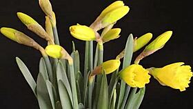 Diana Grace shares a secret afternoon meeting with a supermodel in delight