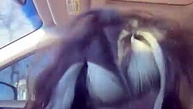 soul snatcher italian beast tale