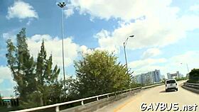 In this gay bear porn, the scenes show hot bears in action