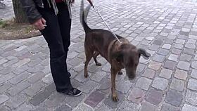 Chubby gay cougar chats about his adventures 😏