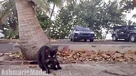 hairy micro bikini try on in public