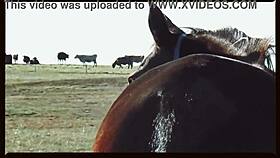 Oklahoma Farm Sex Music Video