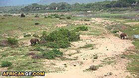 Watch the bratty African hottie get her pussy wrecked by her white boyfriend in the park POV.