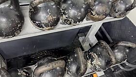 Another day at the gym with athletic bodies and wet workouts 😊