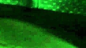 big booty bbw enjoys a ride with bbc