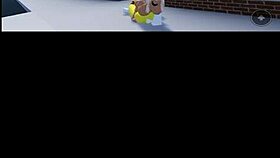 video de verificacion