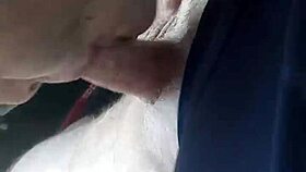 Colorado blowjob in car ends with cum in mouth